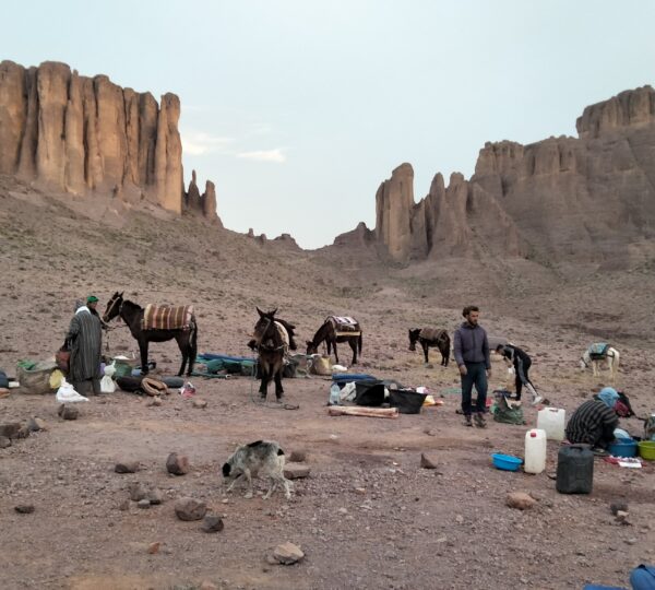 les-aiguilles-de-djbel-saghro