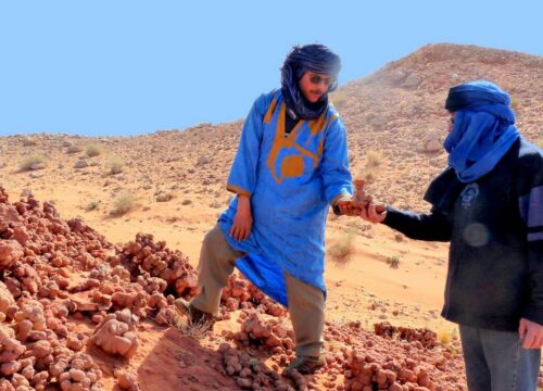 À la Découverte des Fossiles et Gravures Rupestres du Maroc